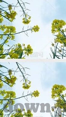 竞彩新浪足球比分-深度解析，竞彩新浪足球比分——球迷的智慧导航与数据宝库